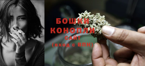дурь Кинешма
