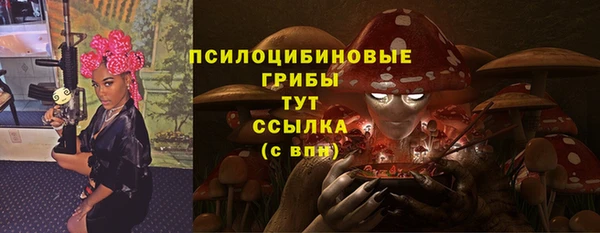 дурь Кинешма