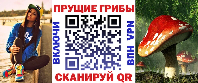 Купить  Кирсанов  Галлюциногенные грибы прущие грибы 